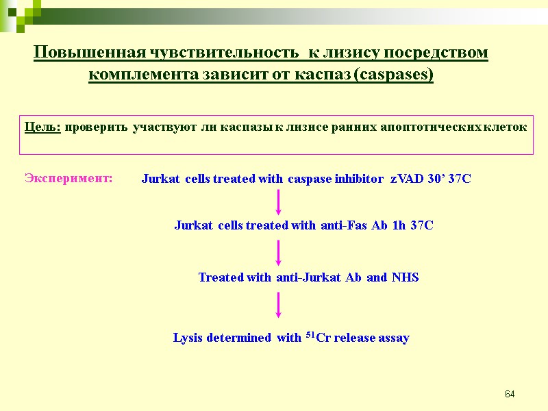 64 Повышенная чувствительность  к лизису посредством комплемента зависит от каспаз (caspases) Цель: проверить